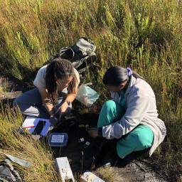 Setting up a camera trap